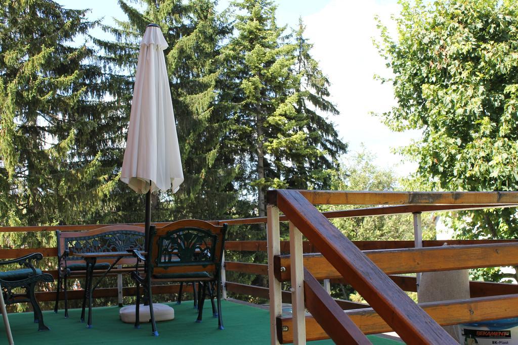 Guest House Milena Zabljak  Exterior photo